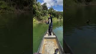 🎣😎 UN BASS PELION🎣😎 JAGUAS pesca nature pescaynaturaleza pescasostenible fishingvideo fishing [upl. by Uni773]