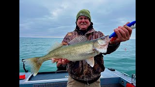 Lake Erie Walleye March Madness [upl. by Mcleod]