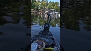 Fumbled And Recovered bassfishing lucky short crankbaits kayakfishing fishing tightlines [upl. by Arlinda]