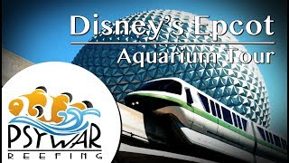 Behind the Scenes Aquarium Reef Tank Tour Disneys Epcot  The Seas With Nemo and Friends [upl. by Akirat783]