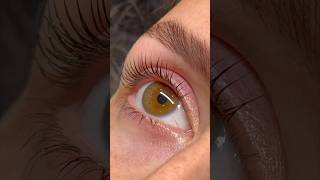 THE ELLEEBANA LASH LIFT [upl. by Seligmann]