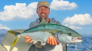 How to Catch Yellowtail Kingfish Jigging on LIGHT GEAR [upl. by Halehs651]