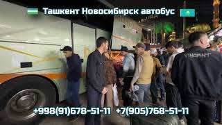 61 ТашкентНовосибирск автобус  НовосибирскТашкент автобус  ToshkentNovosibirsk [upl. by Rubetta]