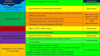 Hypercapnia Respiratory Physiology Chapter 43 part 8 Guyton and Hall Physiology [upl. by Irby576]