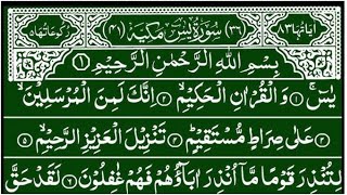 Surah Yaseen Surah Ar Rahman best tilawat  Ep 371  beautiful quran recitationquran translation [upl. by Bowlds]