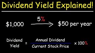 The Dividend Yield  Basic Overview [upl. by Clementius]