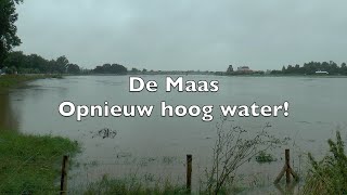 De Maas opnieuw hoog water Ontsnapt Maaseik aan een ramp [upl. by Yeltsew]