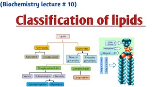 Classification of lipids [upl. by Eltrym3]