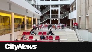 UCalgary students frustrated by unreliable campus WiFi [upl. by Mcgruter]