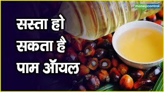 Palm Oil Price सस्ता हो सकता है पाम ऑयल [upl. by Amsirhc85]