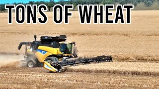 From Wheat to Chickpeas  Harvest 2024  Vlog 325 [upl. by Harleigh124]