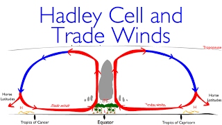 Geography Classics Hadley Cell Trade Winds and Deserts [upl. by Pulchi]