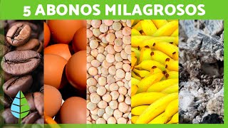 5 Abonos NATURALES para tus PLANTAS 🌱  Fertilizantes CASEROS [upl. by Ulund]