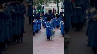 Changing of the guard  Changing of the guard Buckingham palace  changing the guard  London  2023 [upl. by Nahem630]