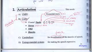 l3 speech  dysarthria  aphasia [upl. by Oalsinatse]