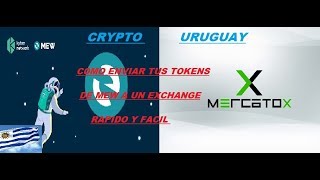 COMO SACAR MIS TOKEN DE MYETHERWALLET  CRYPTO URUGUAY [upl. by Asta]