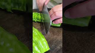 ASMR  Cutting bitter gourd shorts cuttingskills cuttingasmr [upl. by Adnhoj]