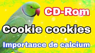 Comment apprendre les perroquets chantent Cookie Cookie I informations sur le calcium [upl. by Bevis]