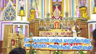 Vadavai Paraloga Matha Church Festival 2024 Festival Mass Day 5 [upl. by Nibor]