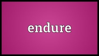 Endure Meaning [upl. by Kassie]