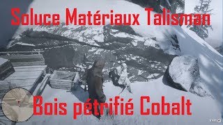 Red Dead Redemption 2  Soluce Bois pétrifié Cobalt [upl. by Myrvyn]