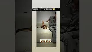 Hmm🤣 love song punjabisong newsong punjabi [upl. by Luba]