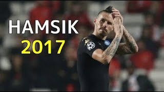 マレク・ハムシク 20162017 スーパーゴールampスキル集 Marek Hamsik Best Skills amp Goals [upl. by Eddie]