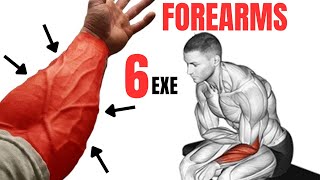 6 BEST FOREARMS EXERCISES AT GYM amp HOME  Extensor  Flexor  Brachioradialis [upl. by Bottali]