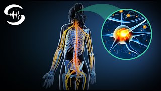 Nervensystem heilen und entspannen erstaunliche Frequenzen [upl. by Viscardi]