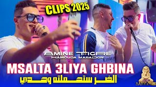 Cheb Amine Tigre 2024 Feat Hamouda Maradon Msalta 3liya Ghbinaالضر ستحملته وحدي© Clips Officiel [upl. by Eiramannod628]