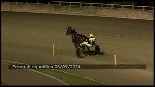 2024 09 06  Metri 1600  Prova di qualifica [upl. by Darwen]