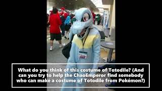 What Do You Think Of This Totodile Costume From Pokemon Gold and Silver [upl. by Norry]