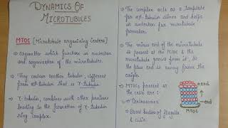 dynamics of microtubule MTOCs part 1 [upl. by Eisej]