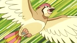 All Ashs Pidgeot moves [upl. by Enimrej]