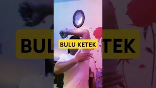 BULU KETEK comedy lucu [upl. by Enelaehs]