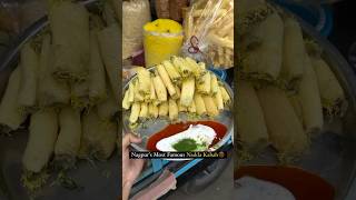 Nagpur’s famous nadda kabab shorts nadda kabab streetfood popular trending street vlog blog [upl. by Seif]