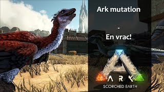 Ark mutation  TroodonTerror birdsArcha [upl. by Annohsak]