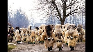 Woolly Beasts Scare Away Winter in Slovenia [upl. by Lauritz220]