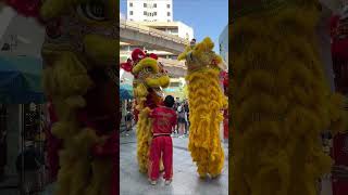 Lion dance  Four faced Buddha  Bangkok [upl. by Cornew]