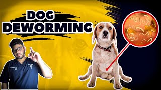 Dog Deworming Explained The Essential Guide You Need 🐶 [upl. by Jestude]