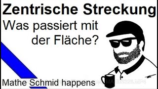 Flächenänderung bei zentrischer Streckung  Mathematik vom Mathe Schmid [upl. by Aciras]