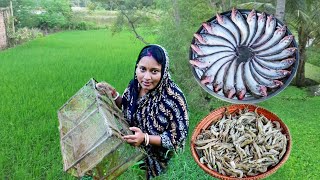 মাঠ থেকে চিংড়িমাছ ধরে কচুর লতি দিয়ে রান্না করলাম সাথে সরষে পাবদা রেসিপি  fish curry recipe [upl. by Yonita]