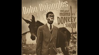 Bobo Bojangles  Met Your Mama At A Donkey Show [upl. by Riba]