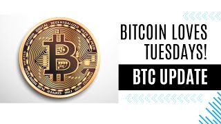 Bitcoin Loves Tuesdays and You Should Too [upl. by Gerianna]