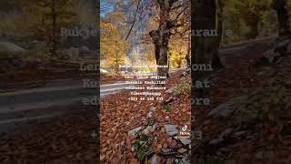 Rukje Sherim me Kuran e Suneh live islam explore shorts [upl. by Alasdair696]