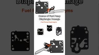 Causes of Chainsaw Fuel Pump Diaphragm Damage [upl. by Livvy722]