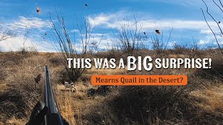 The WILDEST Place I’ve Ever Hunted Mearns Quail Surprise [upl. by Aira626]