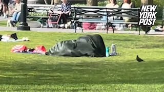 Brazen couple has romp in packed NYC park in full view of kids ‘Society is so f—king gross’ [upl. by Kincaid]