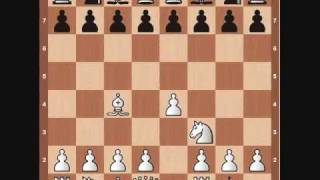 Chess Basics Opening Principles [upl. by Nanaek]