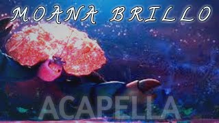 Moana brillo acapella soundtrack [upl. by Wiedmann]